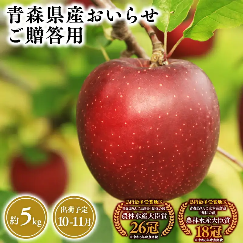 りんご 贈答用 おいらせ5kg [hi-0053-039]