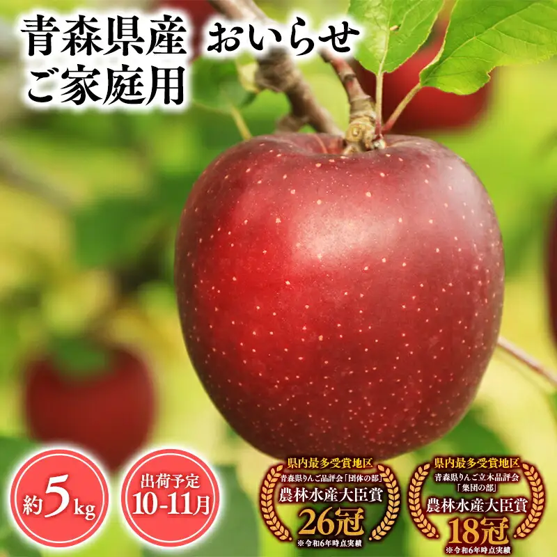 りんご 家庭用 おいらせ5kg  [hi-0053-042]
