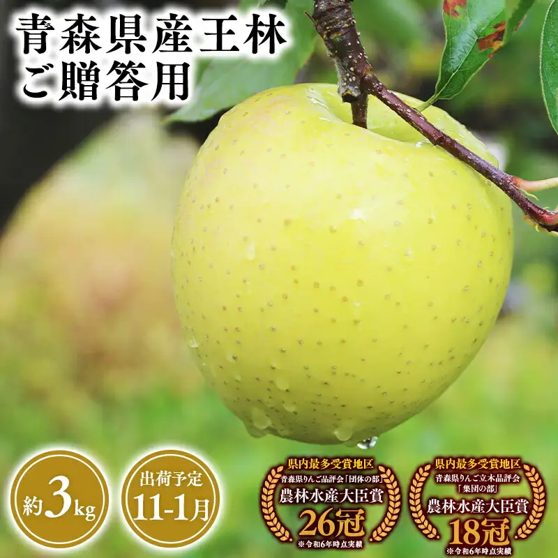 りんご 贈答用 王林3kg [hi-0053-044]