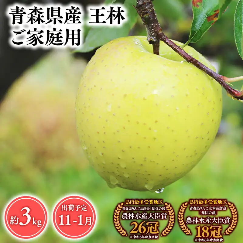 りんご 家庭用 王林3kg [hi-0053-047]