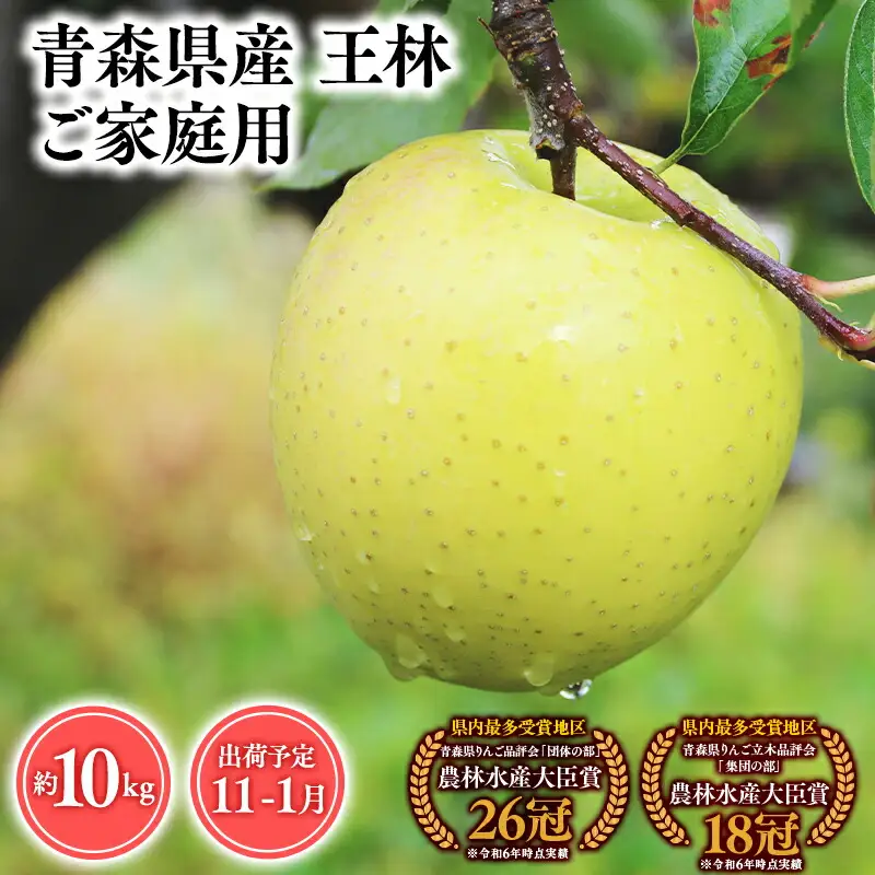 りんご 家庭用 王林10kg  [hi-0053-049]