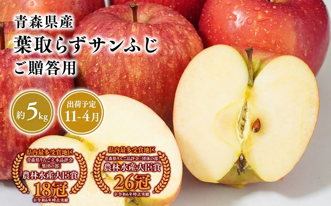 りんご 贈答用 葉とらずサンふじ5kg  [hi-0053-051]