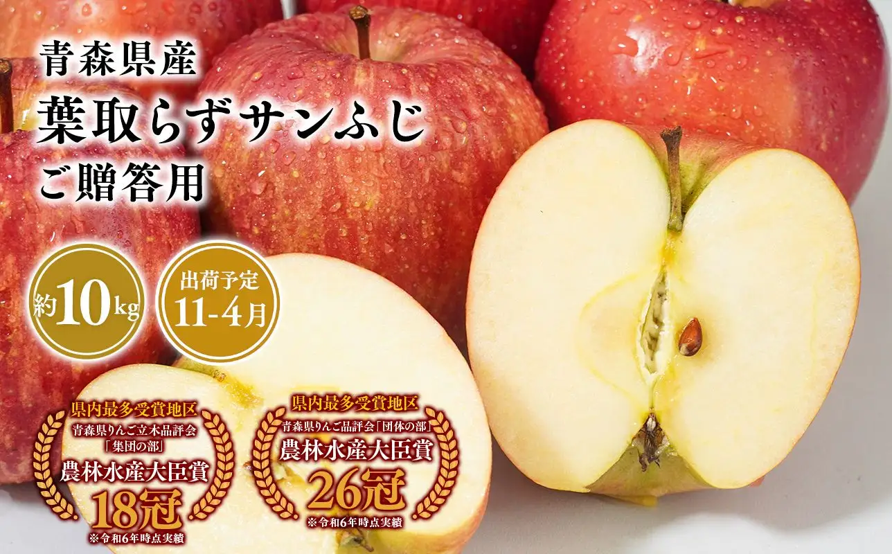 りんご 贈答用 葉とらずサンふじ10kg [hi-0053-052]