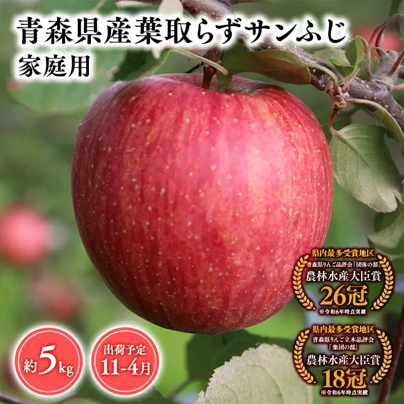りんご 家庭用葉とらずサンふじ5ｋｇ りんご