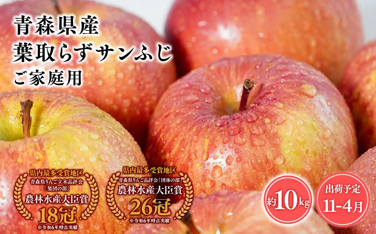 りんご 家庭用 葉とらずサンふじ10kg  [hi-0053-055]