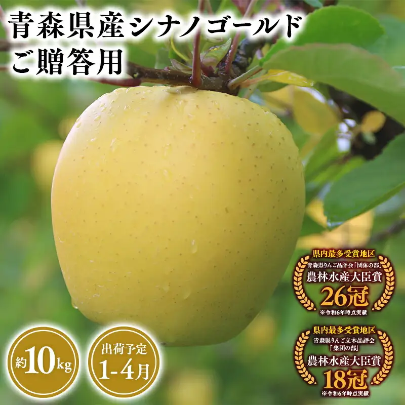 りんご 贈答用 シナノゴールド10kg [hi-0053-064]