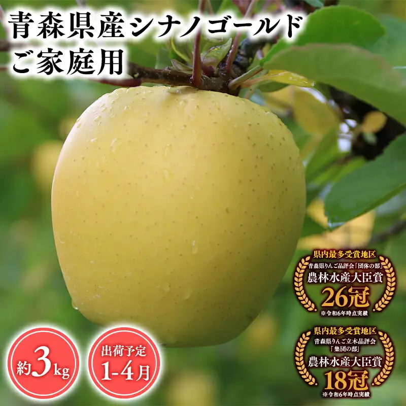 りんご 家庭用 シナノゴールド3kg りんご