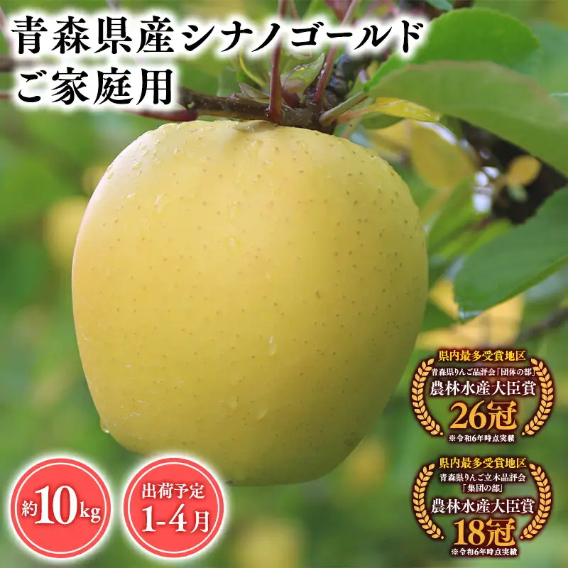 りんご 家庭用 シナノゴールド10kg [hi-0053-067]