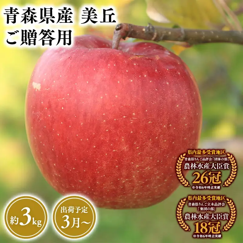 りんご 贈答用 美丘3kg【青森県 平川市 そと川りんご園】[hi-0053-068]