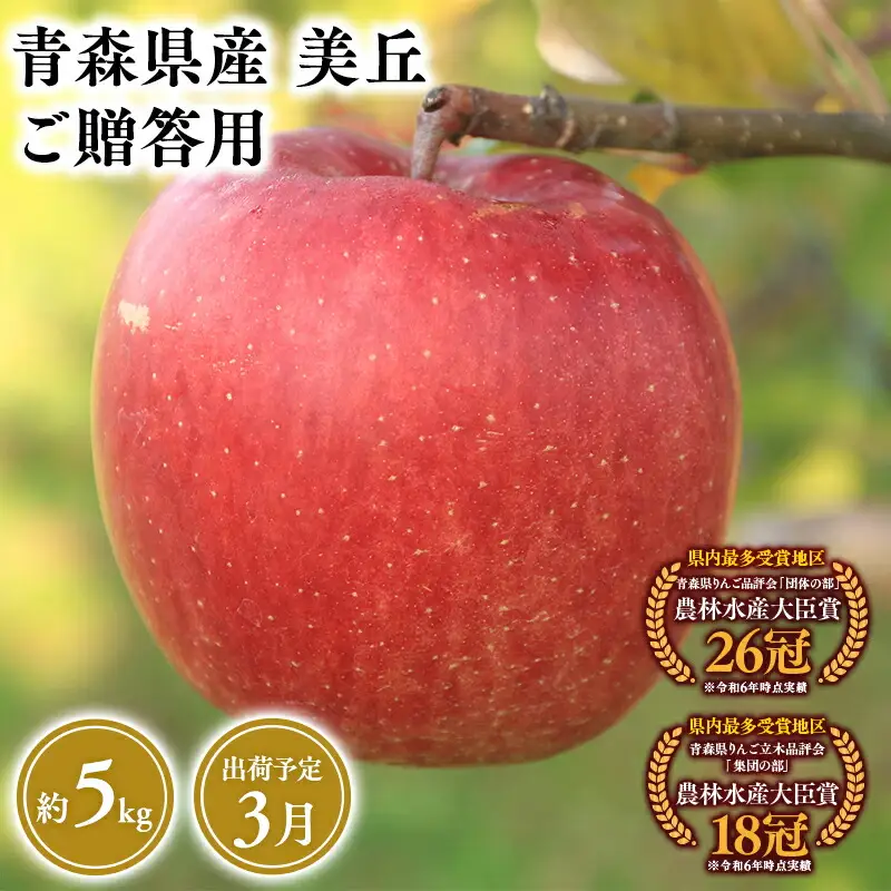 りんご 贈答用 美丘5kg [hi-0053-069]