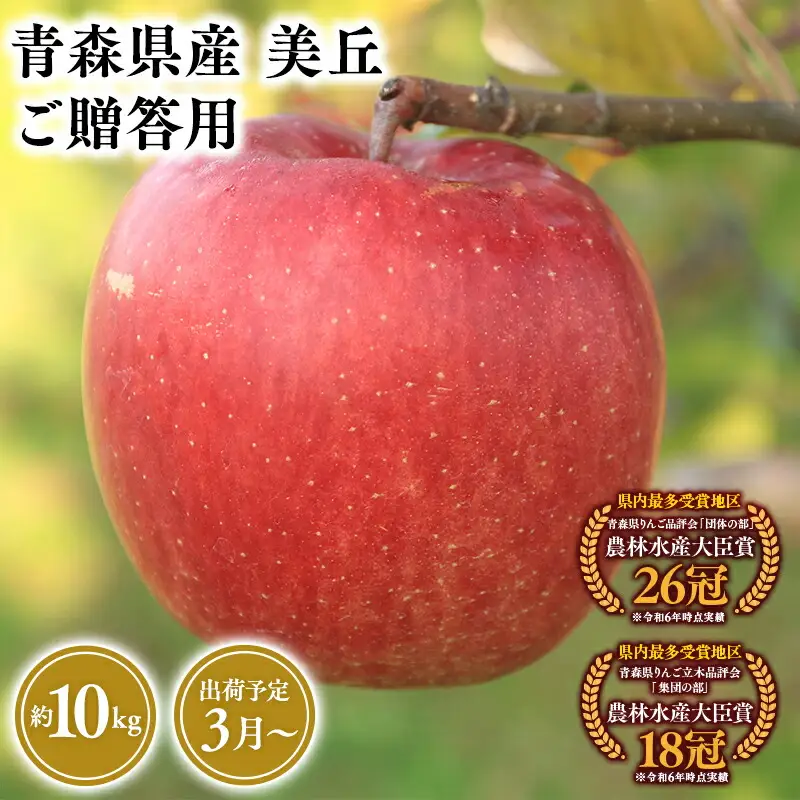 りんご 贈答用 美丘10kg [hi-0053-070]