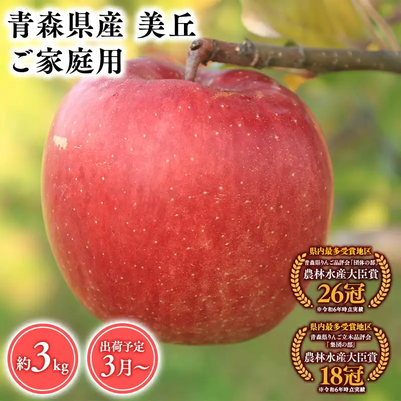 りんご 家庭用 美丘3kg  [hi-0053-071]