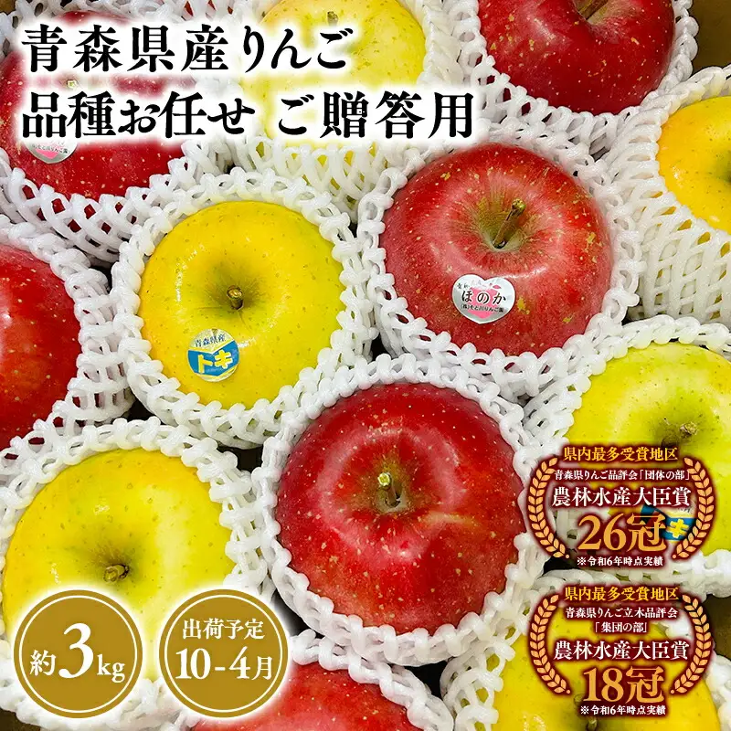 りんご 贈答用 旬のりんご詰め合わせ３kg【hi-0053-074】