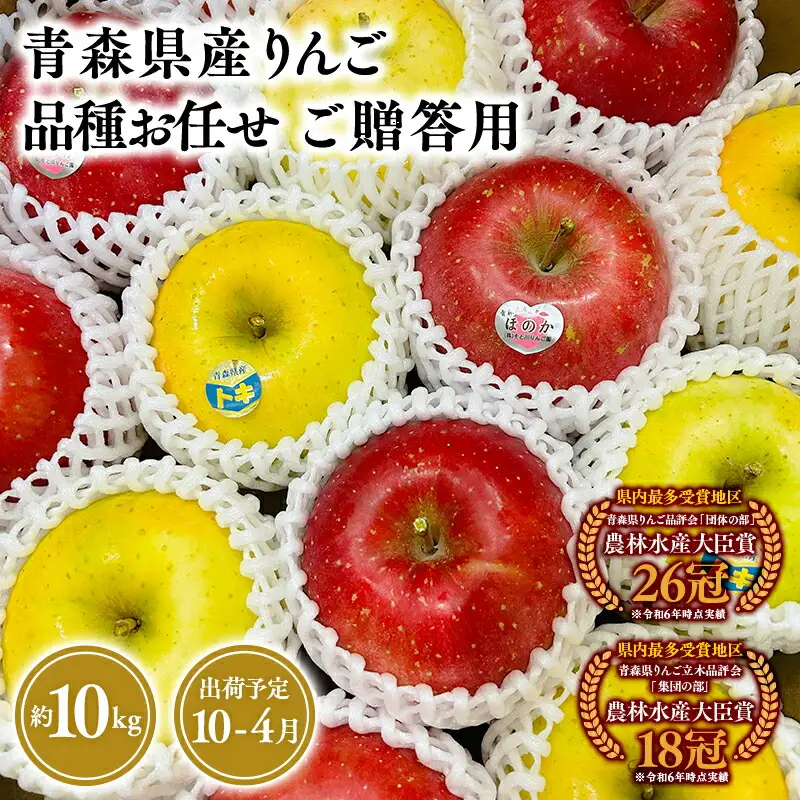 りんご 贈答用　旬の詰め合わせ10㎏  [hi-0053-076]