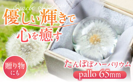 【pallo 65mm】たんぽぽハーバリウム / インテリア 雑貨 フラワー ナチュラル / 亀山市 / auRinko [AMBL001]