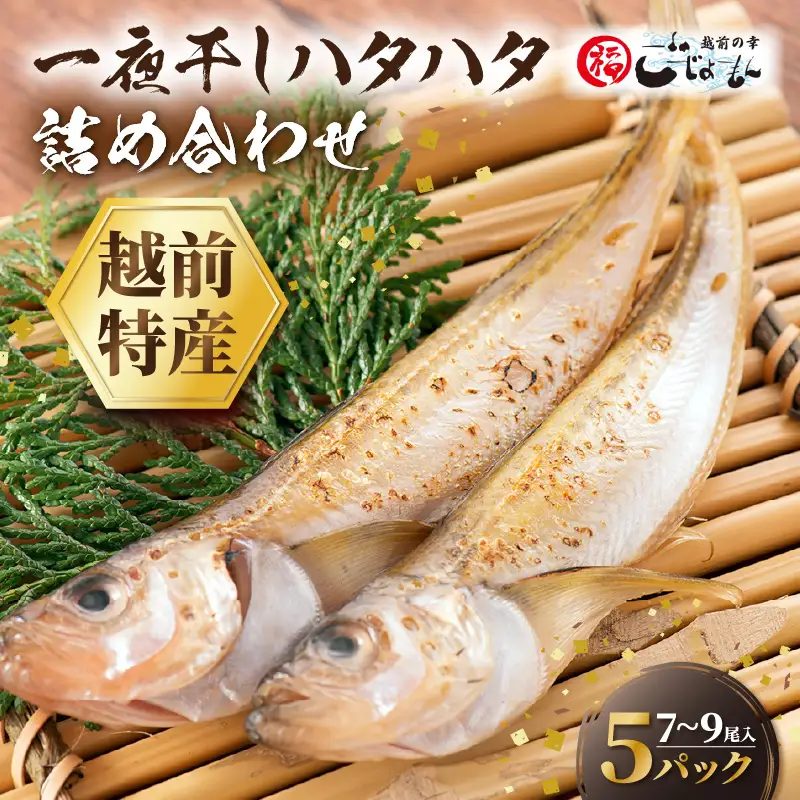越前産 はたはた 「一夜干しハタハタ詰合わせ（7～9尾入り×5パック）」 [e15-a056]