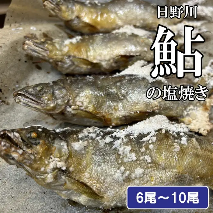 鮎の塩焼き【アユ 塩焼き 600g～700g 6尾～10尾 鳥取県産 日吉津村 冷凍】