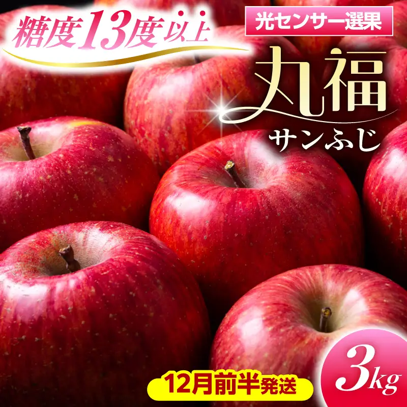 【12月前半発送】 りんご 約3kg 丸福 サンふじ 青森県産 りんご