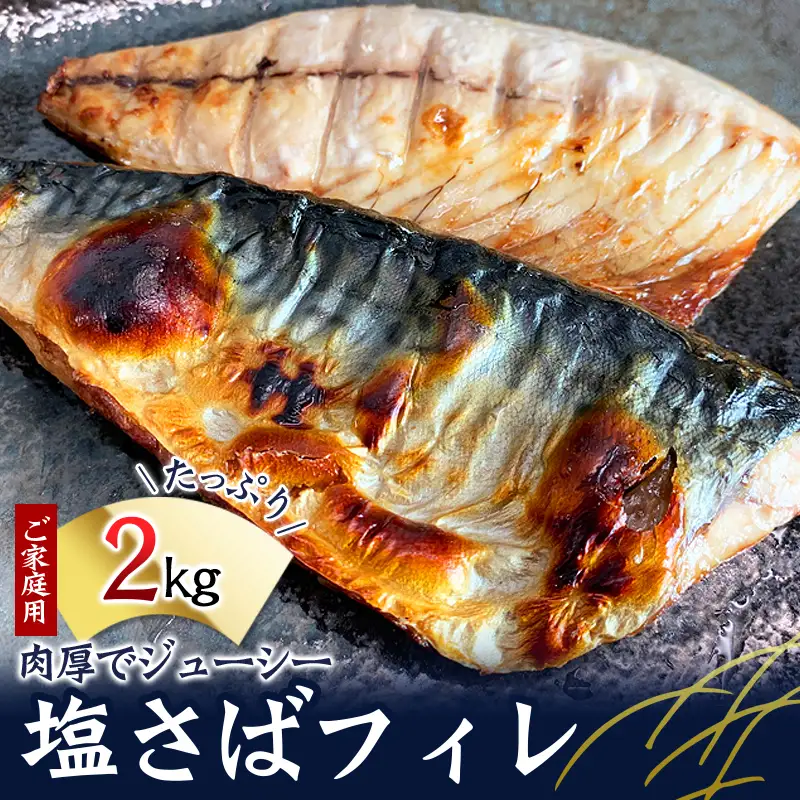 【全3回】大容量！ ご家庭用 塩さばフィレの定期便 / さば サバ 鯖 フィレ 切り身 切身 魚 海鮮 焼き魚 おかず 定期便【tkb353】