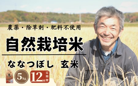 【全12回定期便】【玄米】 自然栽培米 角田玄米（ななつぼし）5kg《厚真町》【カクタファーム】 [AXAR003] 米 お米 玄米 ななつぼし ご飯 北海道 定期便