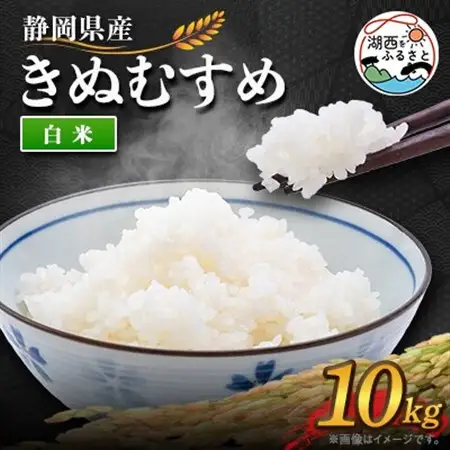 【2026年9月発送】きぬむすめ 白米 10kg_ 精米 米     米 こめ コメ_【1537433】