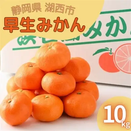 【2026年11月発送開始】浜名湖の「早生みかん」10kg_果物・フルーツ みかん  ミカン 蜜柑_【1537439】