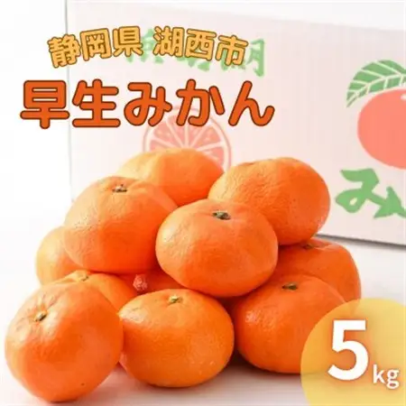 【2026年11月発送開始】浜名湖の「早生みかん」5kg_果物・フルーツ みかん  ミカン 蜜柑_【1537440】