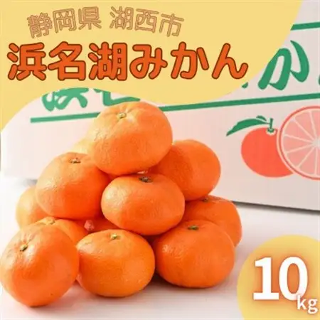 【2026年12月発送】浜名湖の「普通温州みかん」10kg_果物・フルーツ みかん  ミカン 蜜柑_【1537443】