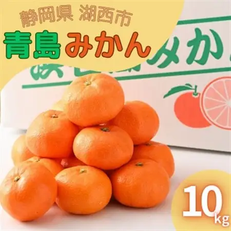 【2027年1月発送】浜名湖の「青島みかん」10kg_果物・フルーツ みかん  ミカン 蜜柑_【1537446】