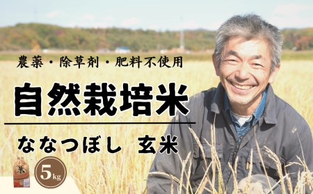 10月下旬発送 自然栽培米 角田玄米 ななつぼし 5kg 新米 無施肥【カクタファーム】 [AXAR001]