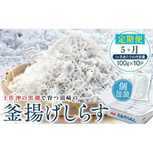 【 しらす 】 釜揚げしらす定期便 5ヶ月
