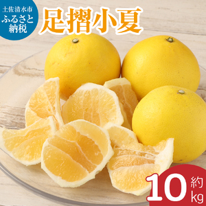 【先行予約】 早川農園の足摺小夏（10kg） 【R00601】