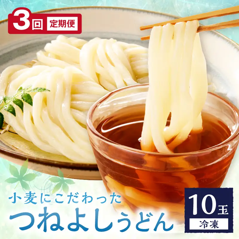 【定期便3回】冷凍うどん10玉入_KI00033_うどん