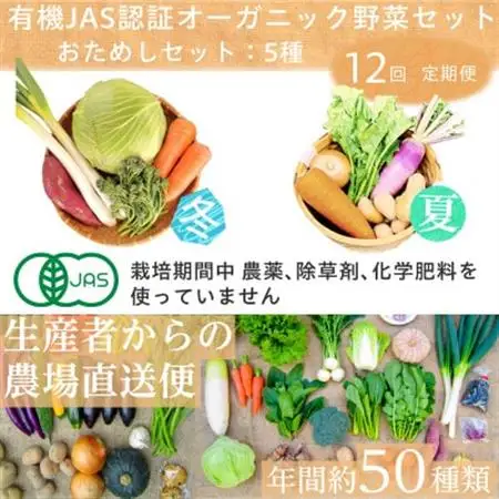 【毎月定期便】有機 野菜　おためしセット　オーガニック野菜　有機JAS　しあわせ野菜畑全12回【配送不可地域：離島・北海道・沖縄県・四国・九州】【4013500】