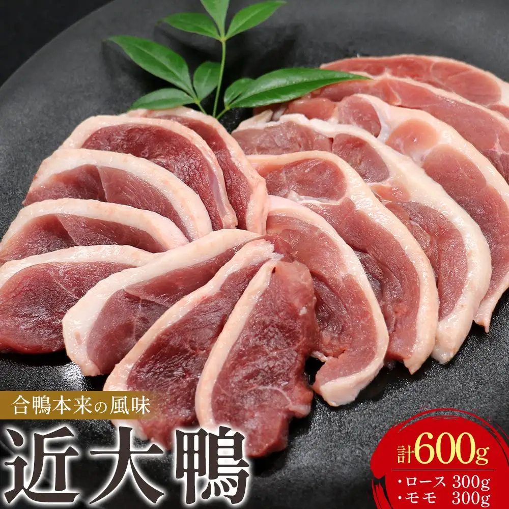 近大鴨 合計600g ロース 300g モモ 300g セット