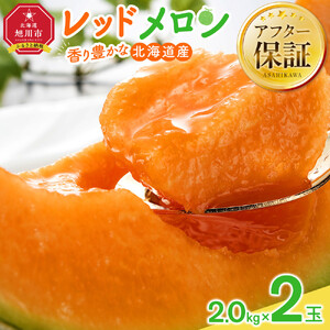 【先行予約】香り豊かな 北海道レッドメロン 2.0kg×2玉(2026年7月下旬から発送開始) | メロン _04541