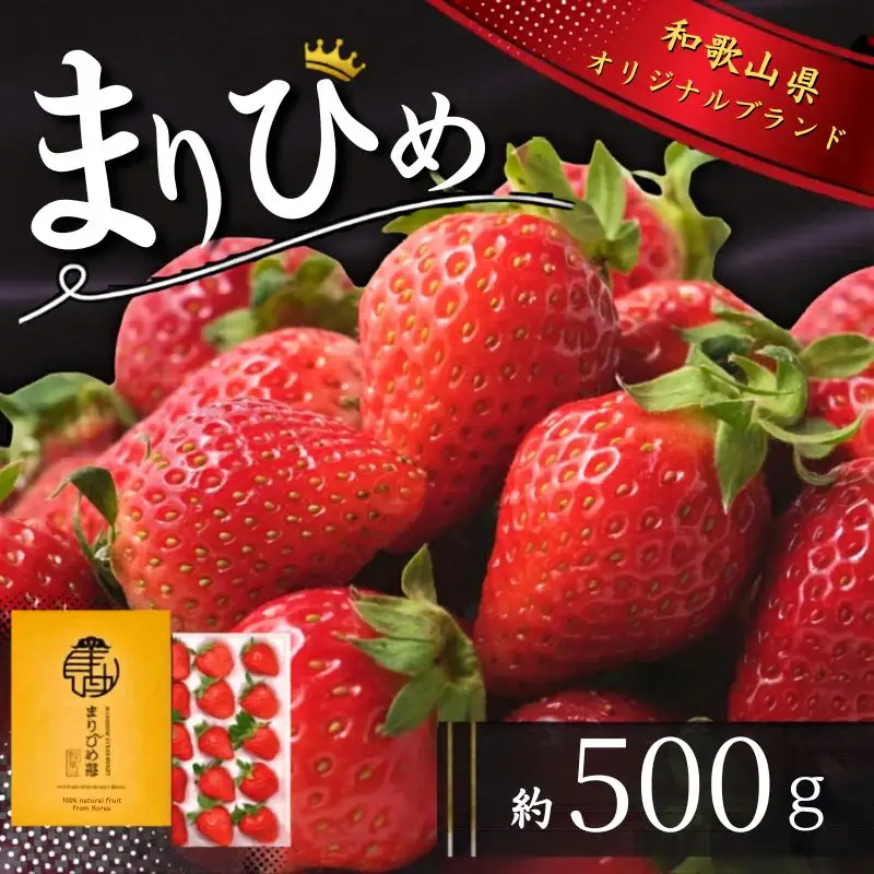 いちご まりひめ 2Lサイズ 約500g（15粒）【tcs001】