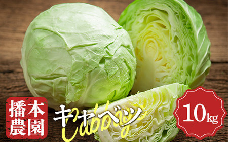 【先行予約2026年11月～2027年6月頃お届け】播本農園のキャベツ 10kg キャベツ 甘い 野菜 サラダ 食品 四国 F5J-900