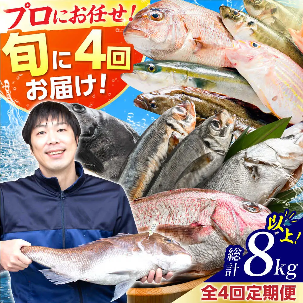 【定期便】全4回(3ヶ月毎発送)【加福鮮魚】「若狭小浜港産地直送」旬の天然鮮魚お任せセット！地魚 下処理済み 刺身 煮魚 焼き魚  小浜市 / 加福鮮魚 【配送不可地域：北海道、北東北（秋田、青森、岩手）、九州、沖縄、離島】[BFBC015] 