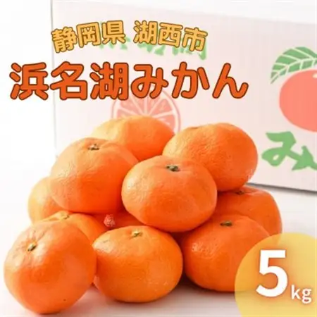 【2026年12月発送】浜名湖の「普通温州みかん」5kg_果物・フルーツ みかん  ミカン 蜜柑_【1537445】