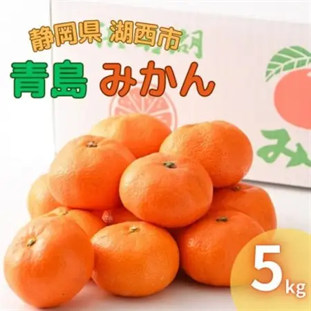 【2027年1月発送】浜名湖の「青島みかん」5kg_果物・フルーツ みかん  ミカン 蜜柑_【1537448】