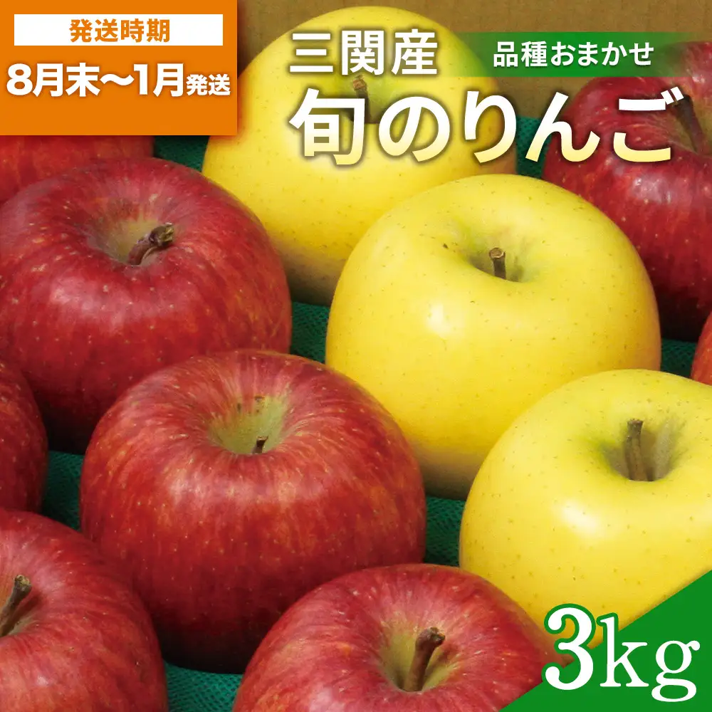三関旬のりんご 秀品 3kg （8玉～12玉） 満杯詰め 三関産 旬 りんご 品種お任せ 果物 フルーツ 秋田県 三関 【三関果樹研究会】[M15101]