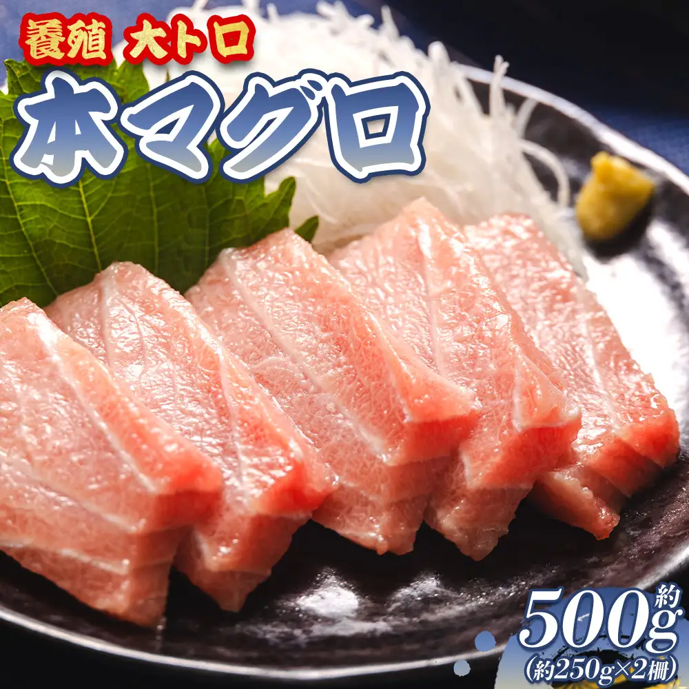 【大トロ】本マグロ  2冊 計約500g 大トロ oo-0018