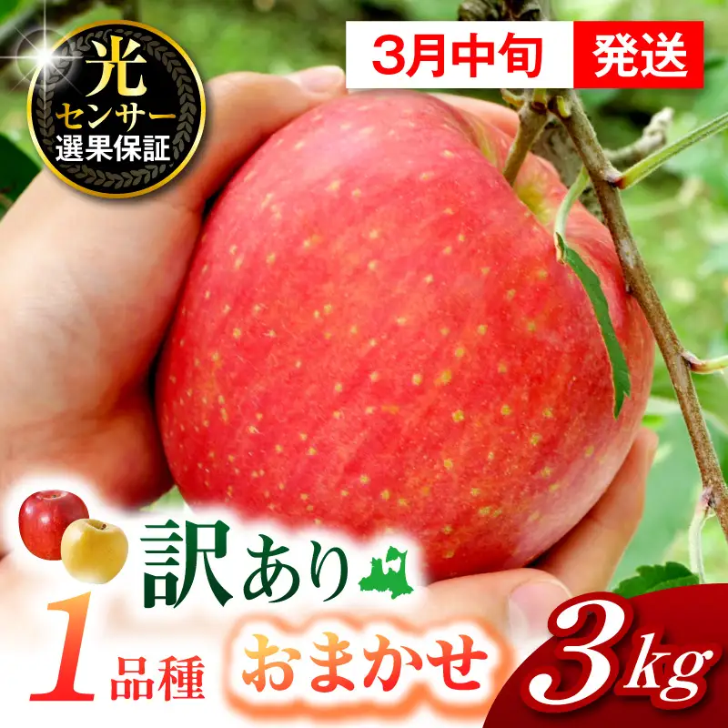 【2027年3月中旬発送】【訳あり】りんご 約3kg 1品種おまかせ 青森産 りんご