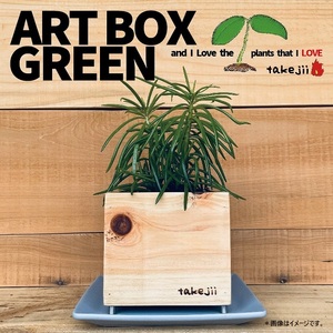 アート ボックス  ART BOX GREEN / 003(木目)  観葉植物 多肉植物 アートボックス