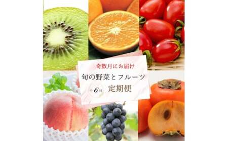 定期便 【全6回定期便】フルーツ定期便！ キウイ 清見オレンジ アイコトマト 桃 ピオーネ 富有柿 【tkb357】