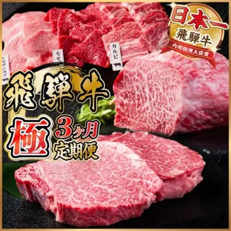 【毎月定期便】飛騨牛 極定期便 計1.7kg【冷蔵便】A4～A5等級 シャトーブリアンほか 全3回_肉 ステーキ 牛肉 ビーフステーキ  肉 焼肉 牛肉 やきにく ヤキニク バーベキュー  定期便 定期便  _【配送不可地域：離島】【4055508】