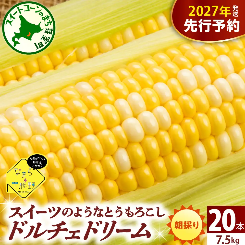 とうもろこし ドルチェドリーム 20本 北海道 芽室町 とうもろこし