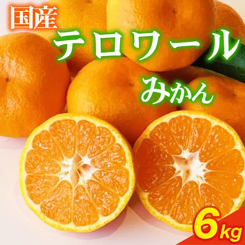 【12月-１月発送】 みかん テロワール 6kg 青島みかん テロワールみかん いたくら農園