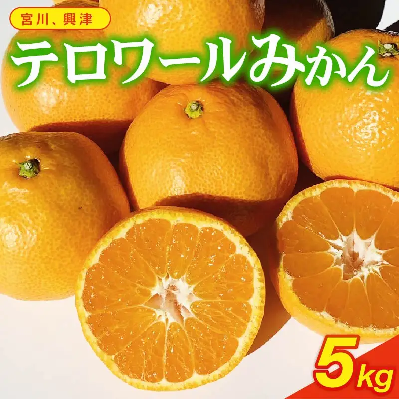 【期間限定 5kg 】テロワールみかん 約 5kg 10月順次発送 いたくら農園